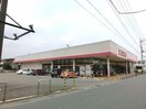 ファッションセンターしまむら長瀬店(ショッピングセンター/アウトレットモール)まで830m オレンジ　ハイツⅡ