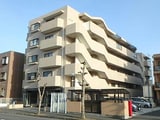 セブンスターハイツ若葉