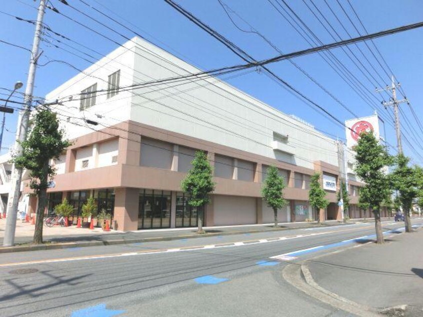 イタリアントマトカフェジュニア丸広坂戸店(その他飲食（ファミレスなど）)まで531m 第12増尾ビル