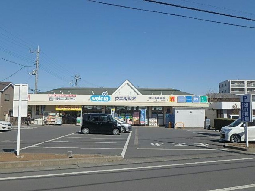 ウエルシア鶴ヶ島藤金店(ドラッグストア)まで720m プラウドシャトー若葉