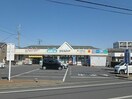 ウエルシア鶴ヶ島藤金店(ドラッグストア)まで812m Lembranca