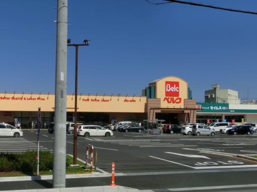 ドラッグセイムス北坂戸店(ドラッグストア)まで380m マイホームネクスト芦山町