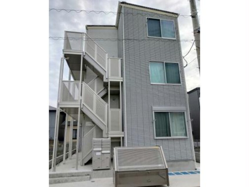  ラミアアルテ若葉