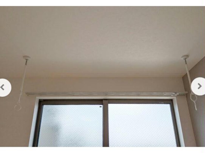  ラミアアルテ若葉