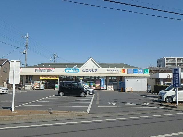 ウエルシア坂戸若葉駅東口店(ドラッグストア)まで545m ベル　フルール