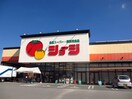 ショージ下見店(スーパー)まで1221m セジュールシゲモリC