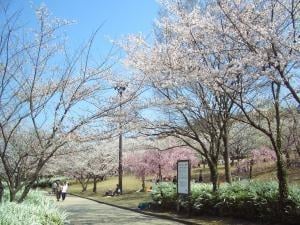 鏡山公園(公園)まで1930m セジュールシゲモリF