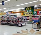 フタバ図書 広大前店(本屋)まで1839m グランドハイツB棟