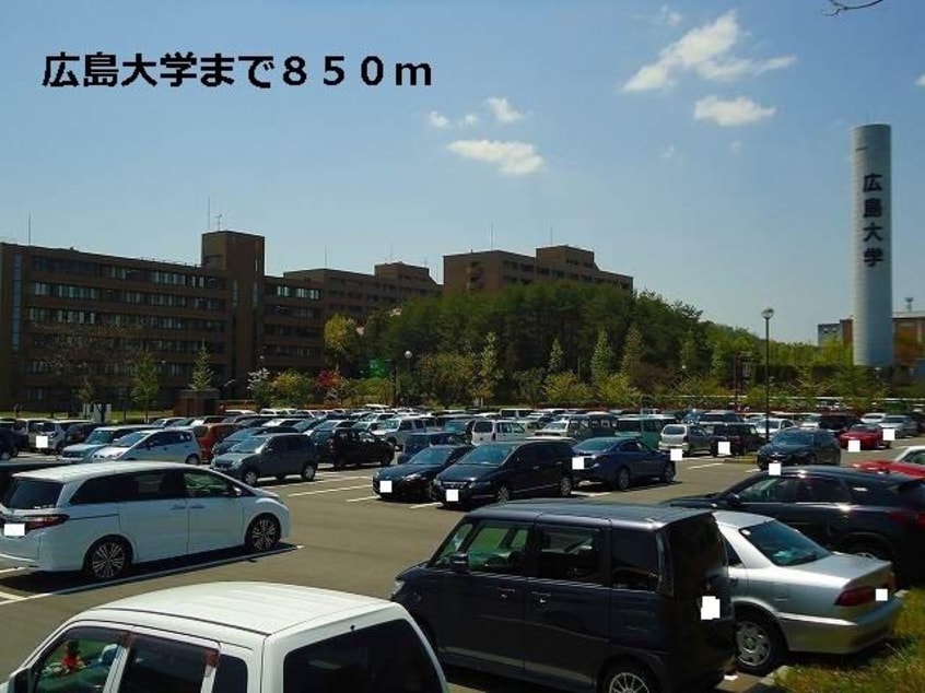 広島大学まで850m(大学/短大/専門学校)まで850m サニーヴェール
