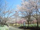 鏡山公園(公園)まで3200m シャルムサールA棟