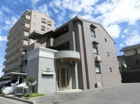 ウィステリアブロッサム