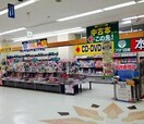 フタバ図書 広大前店(本屋)まで1338m カーサ・Sドマーニ