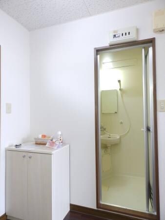 シューズボックス ヤングユーカリA
