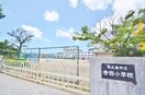 東広島市立寺西小学校(小学校)まで986m シャーメゾンＴＳ