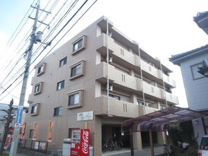 アヴェニュー