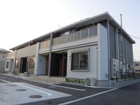 カエデ