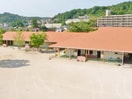 八本松中央幼稚園(幼稚園/保育園)まで1600m セジュールほんどうＡ棟