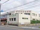 風早幼稚園(幼稚園/保育園)まで950m メゾンド風　弐番館