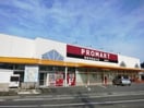 プロマート西条店(スーパー)まで400m D-room花梨　D棟