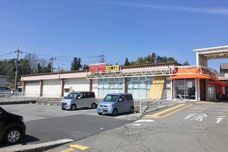 ショージ田口店(スーパー)まで786m アップルハウス