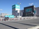 ニトリ東広島店(電気量販店/ホームセンター)まで271m ラビットハウス