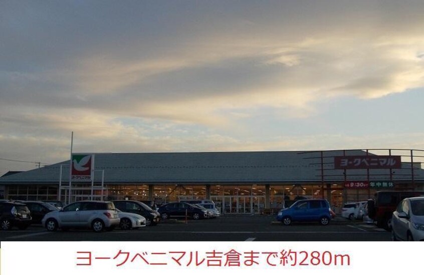 トライアル方木田店(ディスカウントショップ)まで550m コーポ金子Ａ