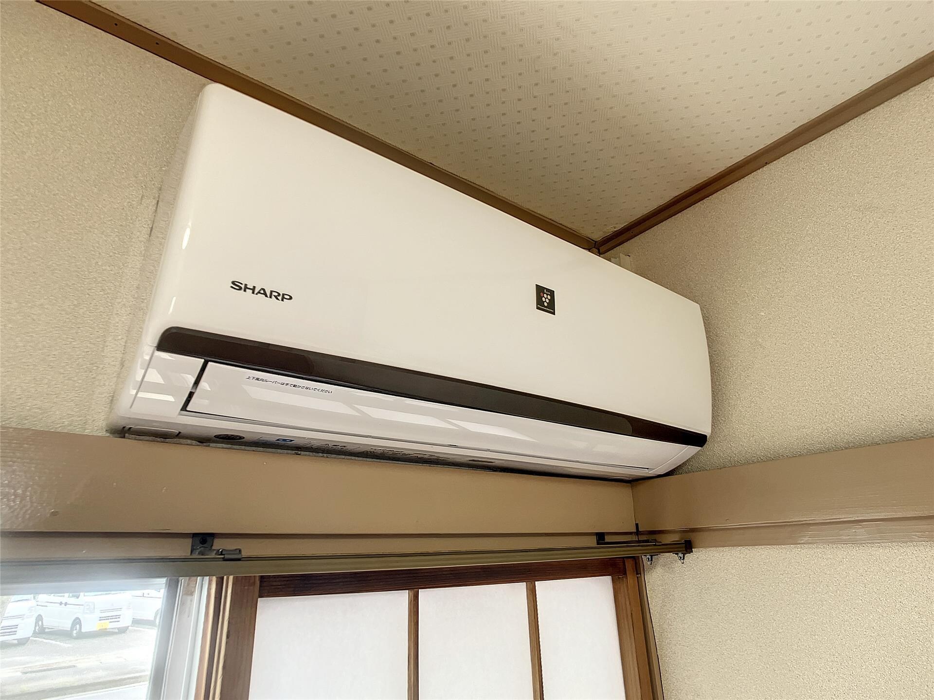  ファシノン丸子