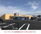 ヨークベニマル福島鎌田店(スーパー)まで300m フルーティハウス