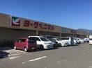 ヨークベニマル伊達店(スーパー)まで902m サンハイツ（伊達）