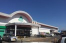 スーパーマーケットいちい鎌田店(スーパー)まで1307m メゾンハーモニーＢ