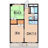 メゾン信夫ヶ丘 2DKの間取り