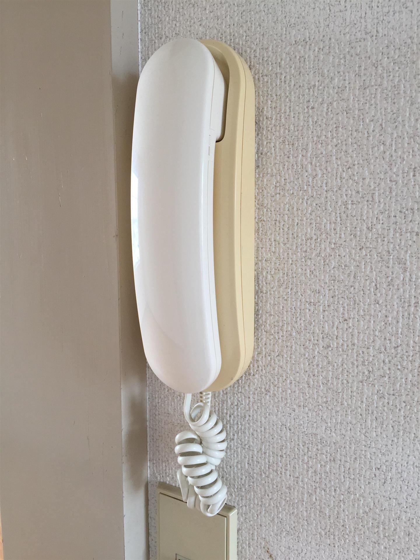  スリーワカバ
