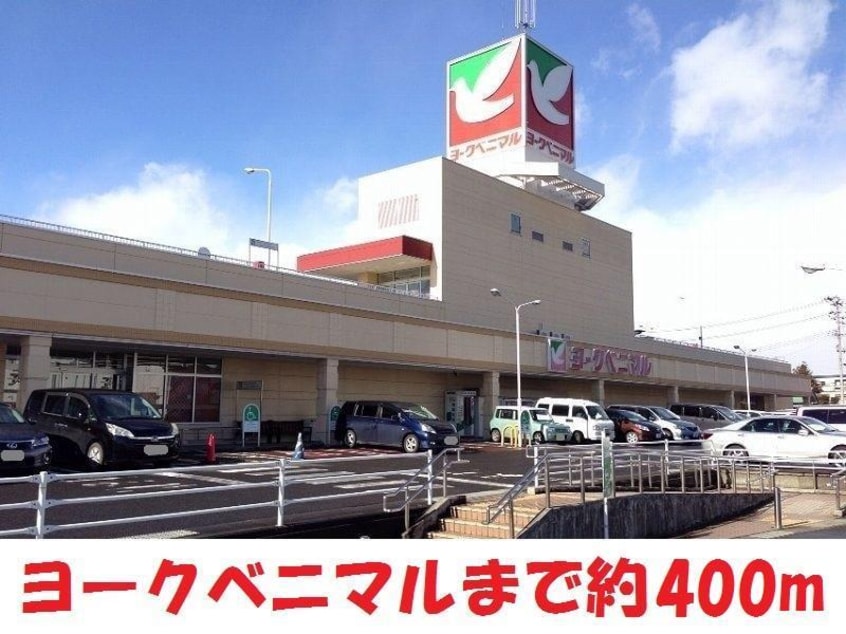 ヨークベニマル平野店(スーパー)まで400m 松下貸家