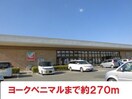 ヨークベニマル福島瀬上店(スーパー)まで270m 宮内ハイツ