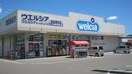 ウエルシア福島鎌田店(ドラッグストア)まで1100m 丸子グリーンハイツS