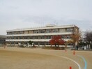 鎌田小学校(小学校)まで1633m Ｗiｓｍａ