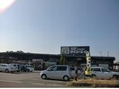 ダイユーエイト福島鎌田店(電気量販店/ホームセンター)まで762m アトリエM