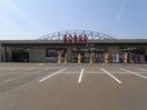 SASYU鎌田店(本屋)まで904m アトリエM