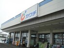 カワチ薬品鎌田店(ドラッグストア)まで1700m ラクラス瀬上A