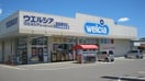 ウエルシア福島鎌田店(ドラッグストア)まで2203m シェリグランハイツ