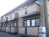波多野八号館