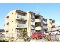 コーポラスシーダー