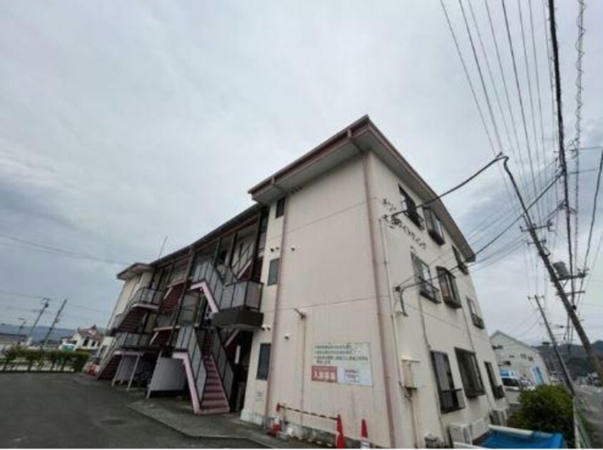  メゾンホワイトウィング