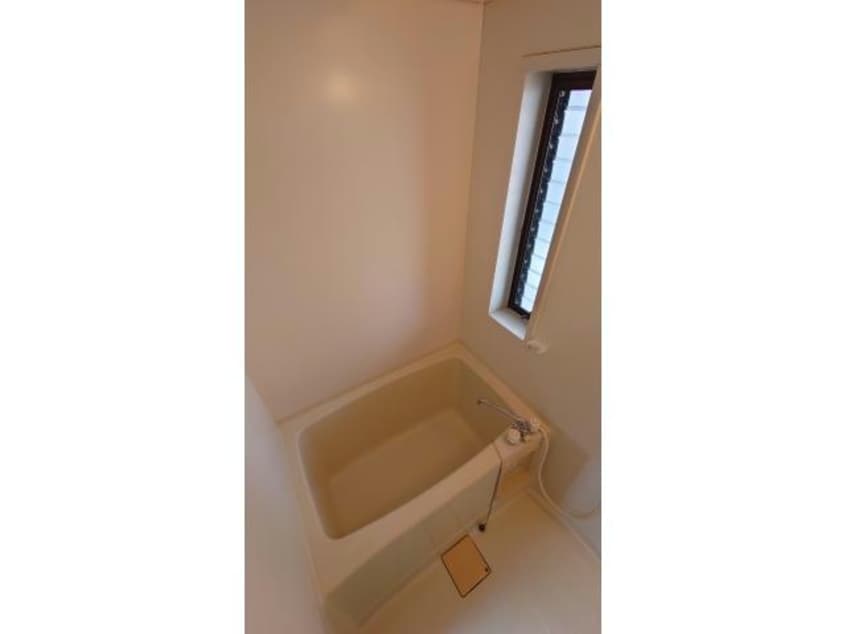  メゾンホワイトウィング