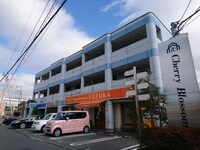 チェリーブロッサム