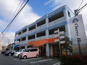 チェリーブロッサム