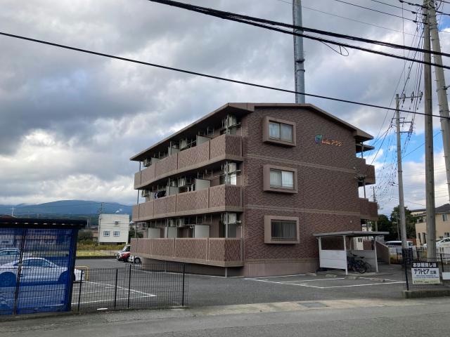  柳畑アラク