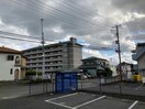  柳畑アラク