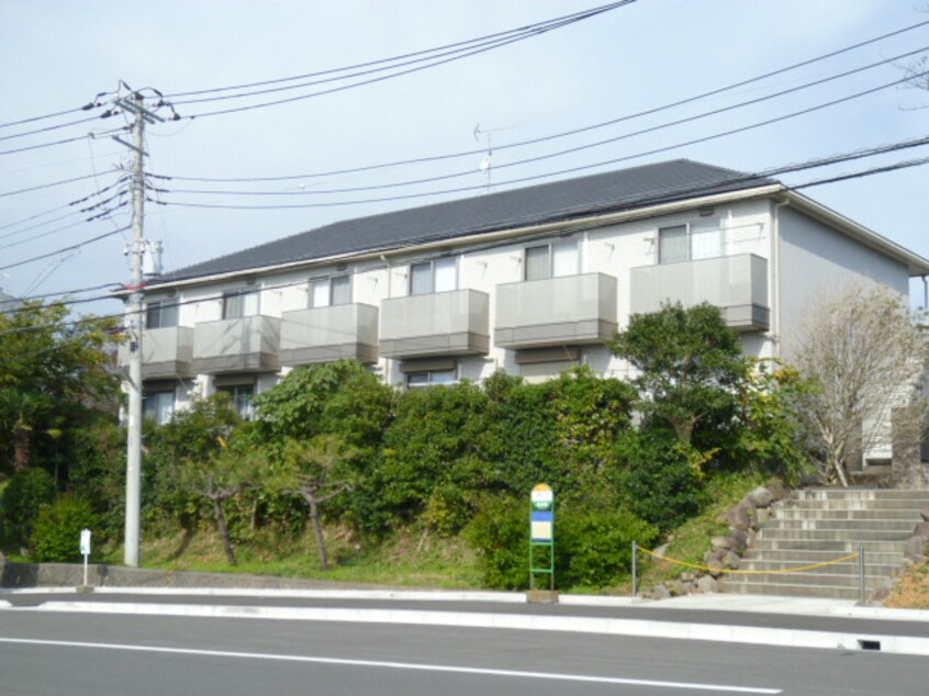  ラコリンヌ　ダボンドンス