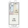 ツリーベルズ 1DKの間取り